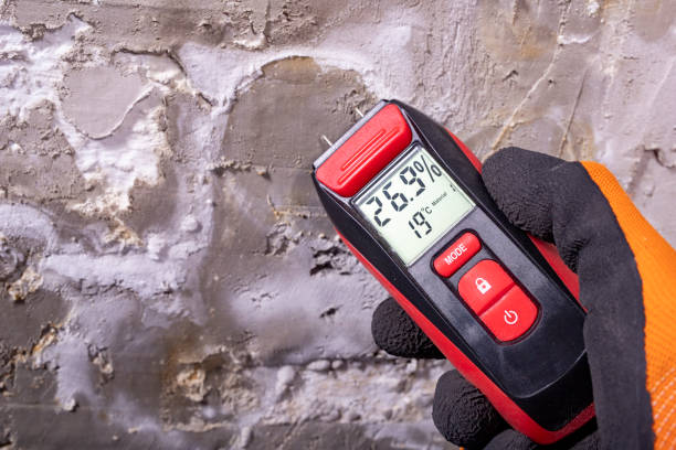 Office Mold Removal Services in Dolan Springs, AZ